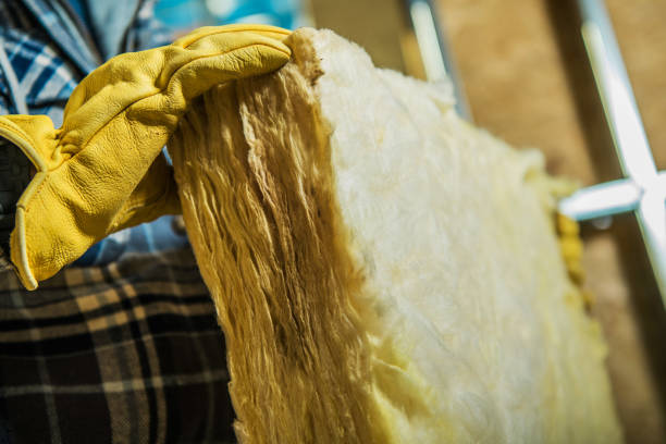 Best Insulation Maintenance and Repair in Baton Rouge, LA
