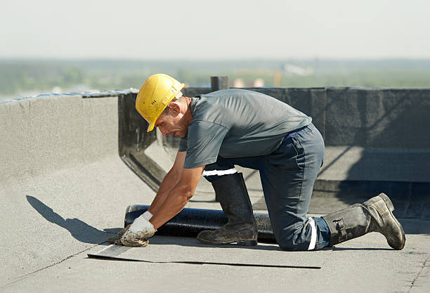 Best DIY Insulation Kits and Guidance in Baton Rouge, LA