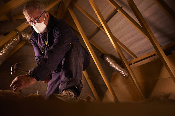 Best Specialized Insulation Services in Baton Rouge, LA